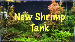 Shrimp Tank gets a Upgrade [upl. by Mansur93]