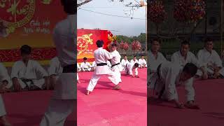 Những đòn đánh tinh hoa karate 🥋 defence vothuat martialarts karate kungfu loitrankarate [upl. by Lemra682]