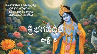 Sri Bhagavad Gita Part6 [upl. by Anelagna]