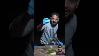 HCL And CUSO4 Ka Reaction😱😱shorts viralvideo trending experiment mrindianhackershorts [upl. by Raab]