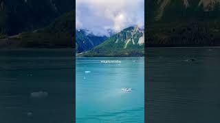 Yakutat Bay ALASKA shorts glacier nature amazing alaskaadventure [upl. by Bluhm]