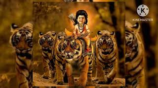 Pallikattu Sabarimalaikku Song Lyrics In English Lord Ayyappa Song  Devotional song [upl. by Yran315]