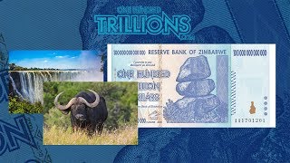 The 100 Trillion Zimbabwe Dollar Note  100Trillionscom [upl. by Valentin359]