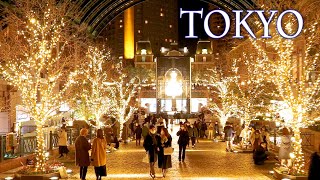 TOKYO Christmas Lights 2021 東京クリスマス イルミネーション 2021 4K [upl. by Anival]