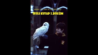 Harry Potter ve Felsefe Taşı  Bölüm 2  En İyi Sesli Kitap [upl. by Laurinda411]