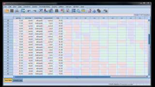 logistic regression 5 conditional logistic regression in SPSS and R [upl. by Gold494]