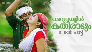 ചെറുനെല്ലിൻ കതിരാടും  Malayalam Folk Song  Jafarillath [upl. by Eniahpets352]