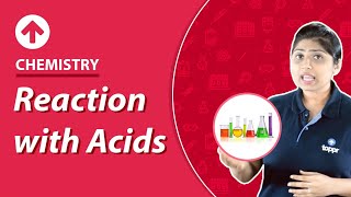 Reaction with Acids  Chemistry [upl. by Fletch965]