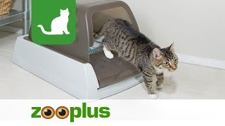 Arenero autolimpiable ScoopFree para gatos  zoopluses [upl. by Aelat]