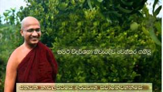 Nawalapitiye Ariyawansa Thero  Samatha vidarshana niwaridiwa wen kara ganimu [upl. by Sirromal]