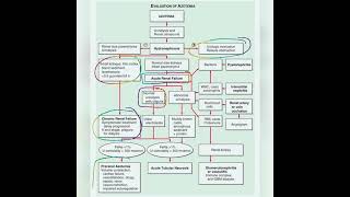 Approach to Azotemia Harrison [upl. by Myna]