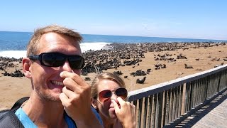 Cape Cross tausende Robben und die Spitzkoppe  Namibia Roadtrip  VLOG 177 [upl. by Vlad]