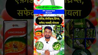 यूपीएल लांसर गोल्ड कीटनाशक  Upl Lancergold Insecticide bhartiyakisanभारतीयकिसान shorts farming [upl. by Carlotta]