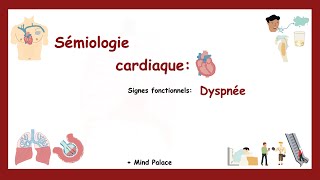 Signes Fonctionnels Cardiaques La Dyspnée  Mind Palace  Pour Mémoriser Sémiologie Cardiaque [upl. by Yousuf]