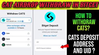 How to connect bitget wallet with CAT  Step by Step Guide [upl. by Cassandry]