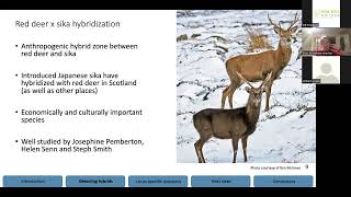 Eryn McFarlane Anthropogenic hybridisation between Red and Sika Deer [upl. by Guimond450]