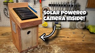 EASIEST DIY Birdhouse with Solar Powered Wifi Camera inside Every Step Explained [upl. by Yrad835]