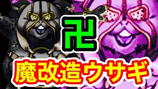 【DQMSL】魔改造したら魔獣もびっくりな強えヤツ爆誕！？これが新たなチカラ【邪獣杯】 [upl. by Ynehteb691]