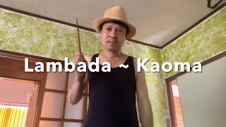 Lambada  Kaoma  Cover [upl. by Bundy600]