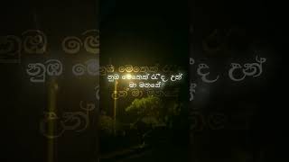 Pem Kawak liyu nuba පෙම් කවක් ලියූ නුඹ singer music [upl. by Anit79]