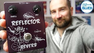 Caline Reflector Reverb Pedal Review  The Wettest Reverb Ever [upl. by Hazen75]