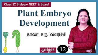 Development of Dicot Embryo in Angiosperms [upl. by Eilyac]