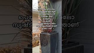 Allaahmaappila songmalayalamcanadashortfeedgreen vlogs by shaluEp 192 [upl. by Shue]