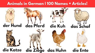 Tiernamen auf Deutsch  Deutscher Wortschatz für Anfänger  A1 A2 B1 [upl. by Suehtomit629]