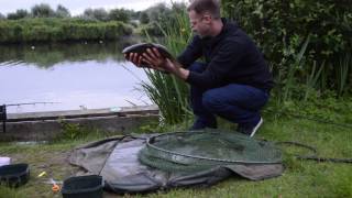 Fishing for Tench and Crucian Carp at Marsh Farm Fishery [upl. by Irod]