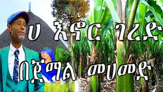 ሀ እኖር ገረድ የሽ ቧሪያ by Fasika fikadu [upl. by Vescuso380]