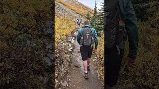 Fall Colors in the Rockies shorts fallcolors rockymountain [upl. by Batory772]