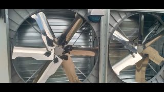 EXTRACTOR FANS  PART 1 WHAT ARE THEY AND INTRODUCTION TO THEIR APPLICATION [upl. by Adlecirg152]