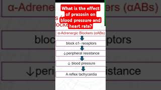 What is the effect of prazosin on blood pressure and heart rate [upl. by Hoang453]