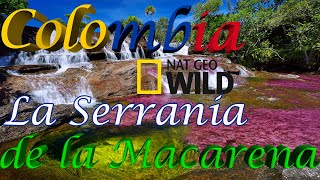 Colombia Salvaje Parte 2 de 3  La Serranía de la Macarena tesoro de la naturaleza [upl. by Gurolinick126]