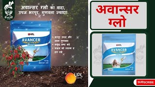 Shrisaiagro  UPL Avancer Glow Fungicide  अवान्सर ग्लो फफुंदीनाशक Azoxystrobin 83Mancozeb 667 [upl. by Innos]