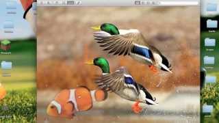 How To Do Basic quotPhotoshopquot On A Mac [upl. by Kuska160]