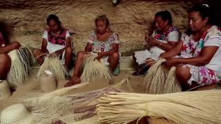 VIDEO SOMBREROS DE JIPI JAPA [upl. by Sirod]