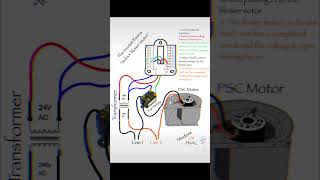 HVAC thermostat wiring basics [upl. by Gunas180]