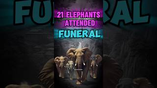 21 Elephants Attend a Funeral 😮 animals elephant emotional KnowledgePedia2023 [upl. by Garin]