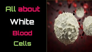 All about White Blood Cells – Hindi – Quick Support [upl. by Soalokin936]