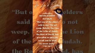 The Lion of Judah  Revelation‬ ‭5‬‭5‬ ‭NKJV‬‬‬‬ 🔇 [upl. by Aitnwahs]