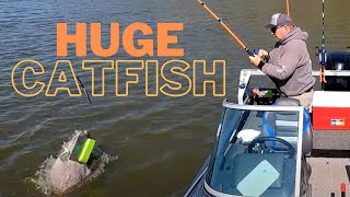 How to Drag Baits for HUGE Catfish BigFish Catfish DraggingBaits [upl. by Nelyak566]