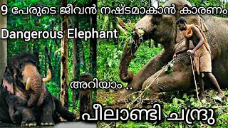 9 ജീവൻ നഷ്ടപ്പെടുത്തിയ പീലാണ്ടി ചന്ദ്രു  Peelandi Chandru Elephant [upl. by Romney]