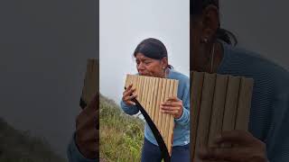 YOU RAISE ME UP panflute quenacho quena nativeflutes zampoña livemusic [upl. by Tlevesoor]