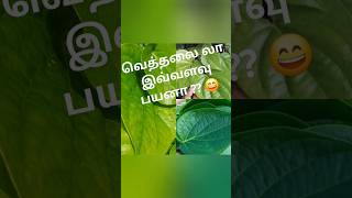 Adaa vethalai chedi ivlo azaga irruke athu mattum payangal trending trendingshorts gardening [upl. by Ahsam305]