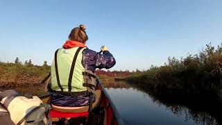 The Oswegatchie River Sept 2024 [upl. by Anim]