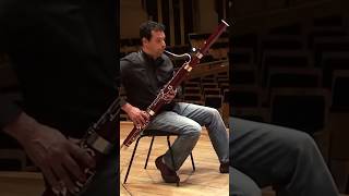 Bassoon Solo of The Day “Donna Lee” excerpt bassoon music bassoonist [upl. by Onig]