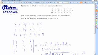 Estudiar sistema según parámetro lambda UD04 Matemáticas 2º Bachillerato Academia Usero [upl. by Rayshell992]