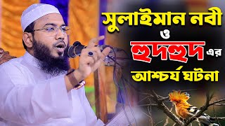 সুলাইমান নবী ও হুদহুদ এর ঘটনামাহমুদুল হাসান ফেরদৌস কুয়াকাটাMahmudul Hasan Ferdous Kuakata [upl. by Yejus162]