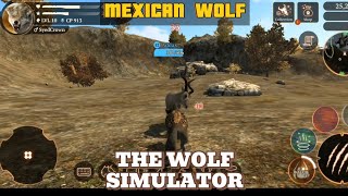 The Wolf Simulator Walkthrough Gameplay  Mexican Wolf Part 5 [upl. by Lynnelle]